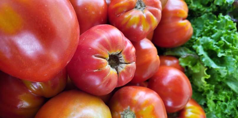 TOMATES DE TOUTES LES COULEURS Belles et savoureuses TOMATES !