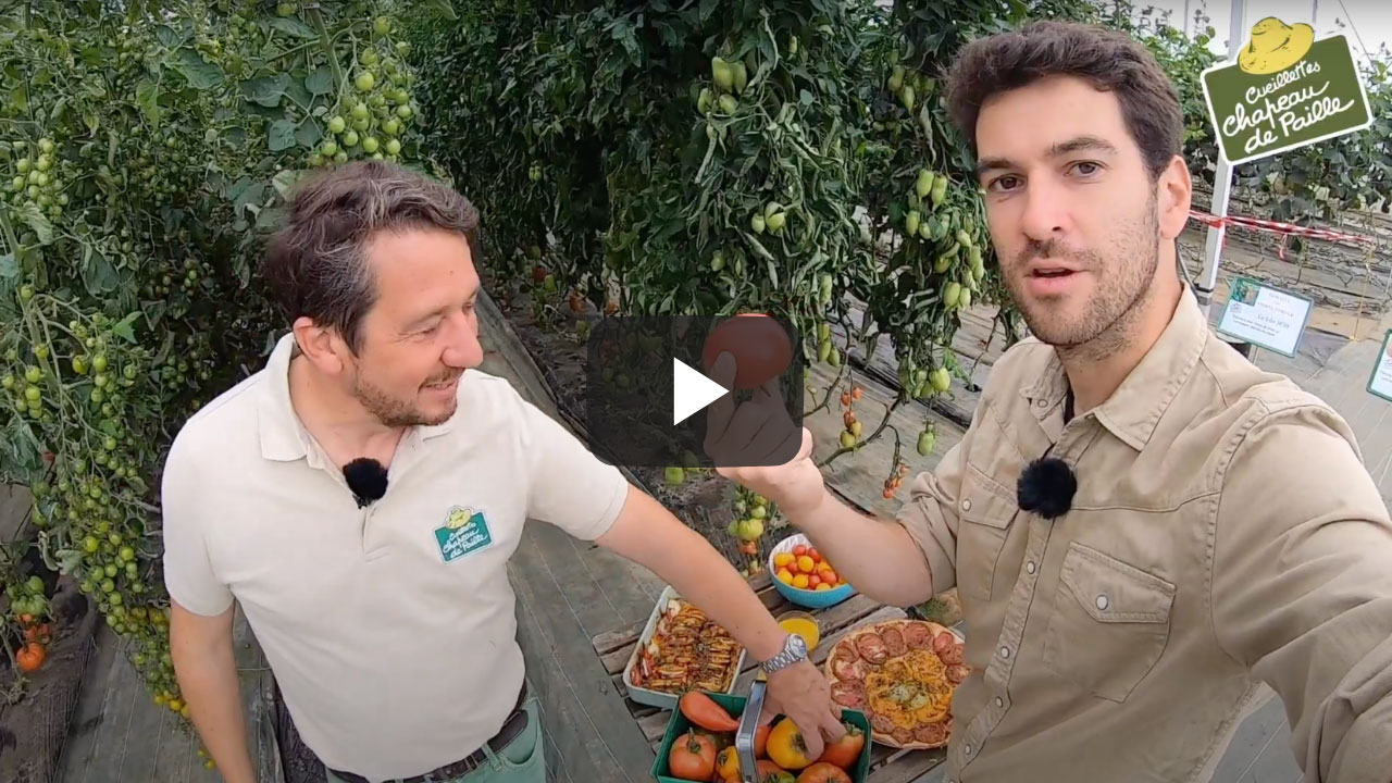 Le p'tit tour de France des cueillettes Episode 3: Les tomates